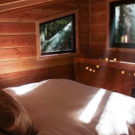 Cabanas Bosque Milenario Conaripe Ngoại thất bức ảnh