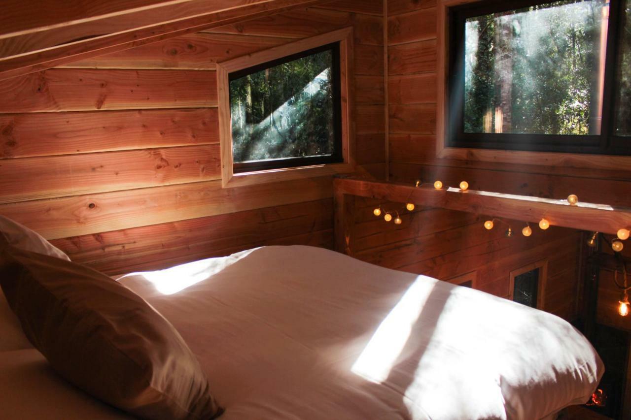 Cabanas Bosque Milenario Conaripe Ngoại thất bức ảnh