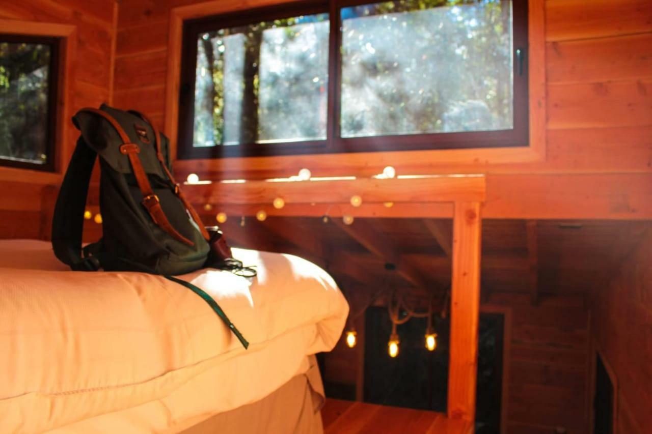 Cabanas Bosque Milenario Conaripe Ngoại thất bức ảnh