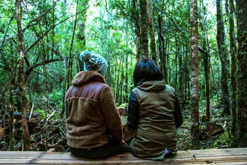 Cabanas Bosque Milenario Conaripe Ngoại thất bức ảnh