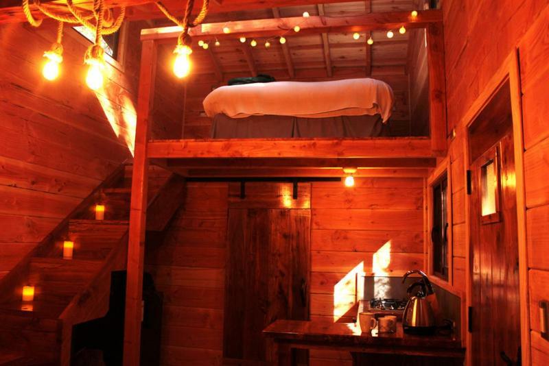 Cabanas Bosque Milenario Conaripe Ngoại thất bức ảnh