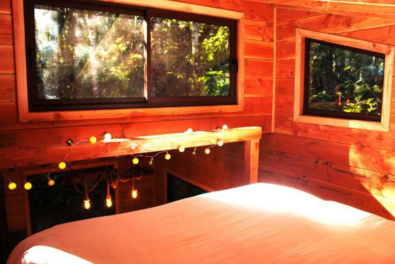 Cabanas Bosque Milenario Conaripe Ngoại thất bức ảnh