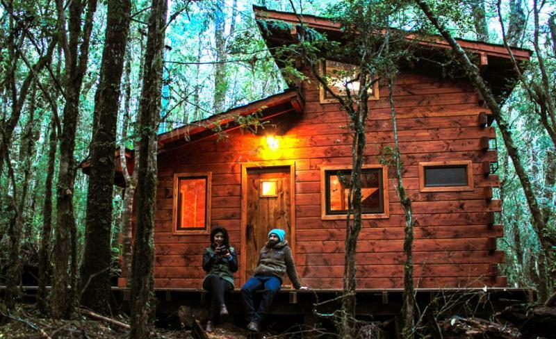 Cabanas Bosque Milenario Conaripe Ngoại thất bức ảnh