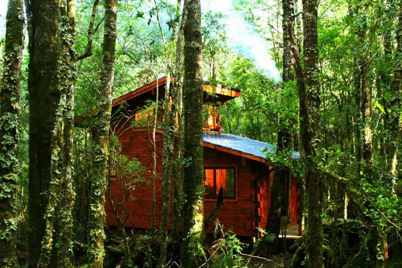 Cabanas Bosque Milenario Conaripe Ngoại thất bức ảnh