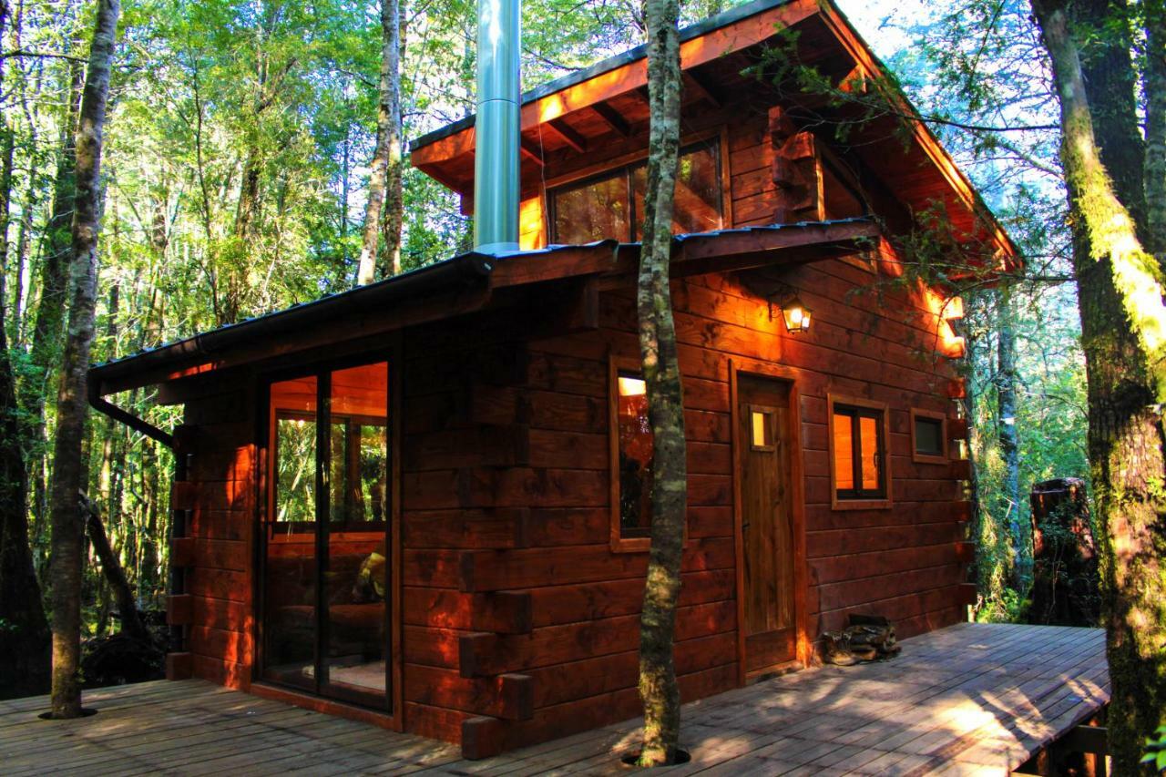Cabanas Bosque Milenario Conaripe Ngoại thất bức ảnh