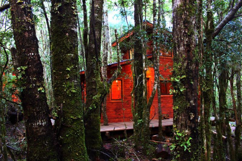 Cabanas Bosque Milenario Conaripe Ngoại thất bức ảnh
